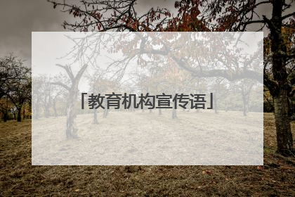 教育机构宣传语