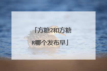 方糖2和方糖R哪个发布早