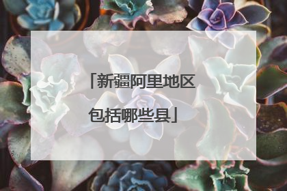 新疆阿里地区包括哪些县