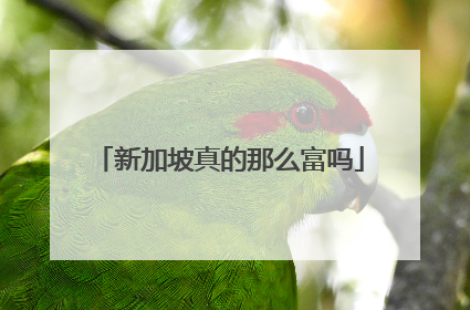 新加坡真的那么富吗