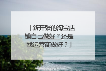 新开张的淘宝店铺自己做好?还是找运营商做好?