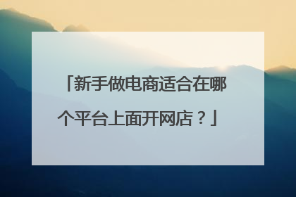 新手做电商适合在哪个平台上面开网店?