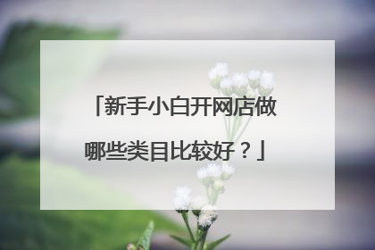 新手小白开网店做哪些类目比较好?