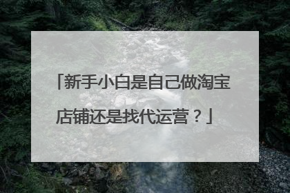 新手小白是自己做淘宝店铺还是找代运营?