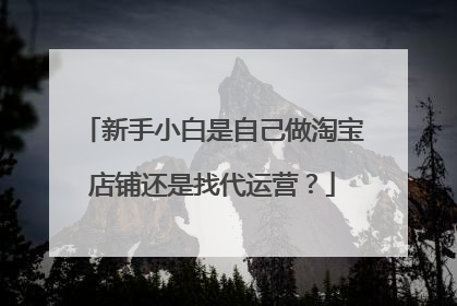 新手小白是自己做淘宝店铺还是找代运营?