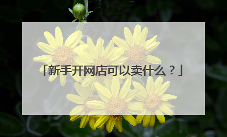 新手开网店可以卖什么？