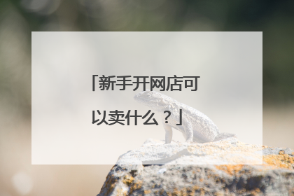新手开网店可以卖什么?