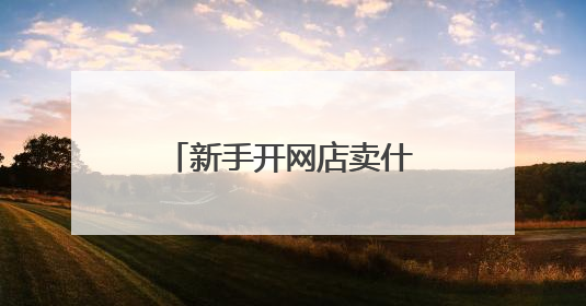 新手开网店卖什么产品比较好?