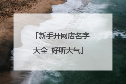 新手开网店名字大全 好听大气