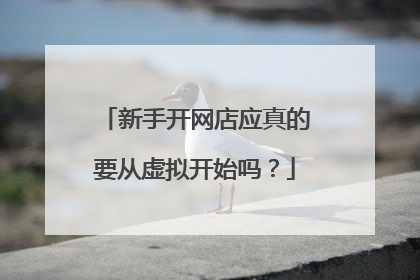 新手开网店应真的要从虚拟开始吗?