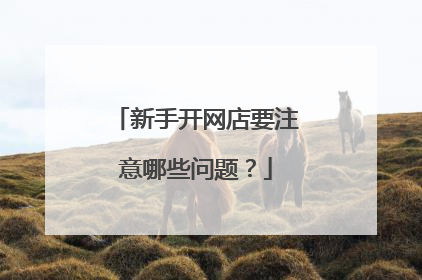 新手开网店要注意哪些问题?