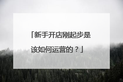 新手开店刚起步是该如何运营的?
