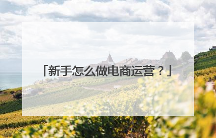 新手怎么做电商运营?