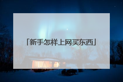 新手怎样上网买东西