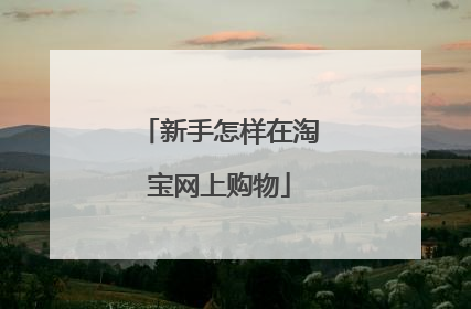 新手怎样在淘宝网上购物