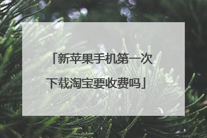新苹果手机第一次下载淘宝要收费吗
