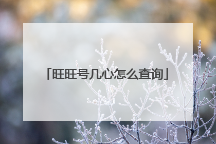 旺旺号几心怎么查询