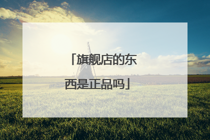 旗舰店的东西是正品吗