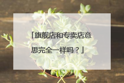 旗舰店和专卖店意思完全一样吗?