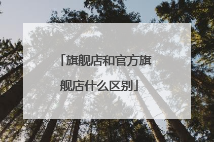 旗舰店和官方旗舰店什么区别