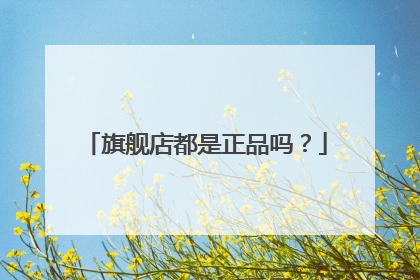 旗舰店都是正品吗?