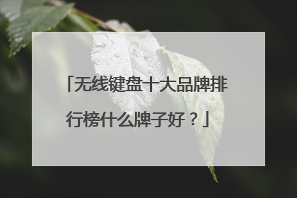 无线键盘十大品牌排行榜什么牌子好?