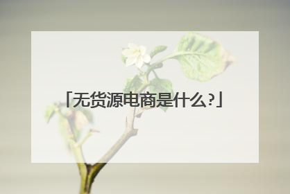 无货源电商是什么?