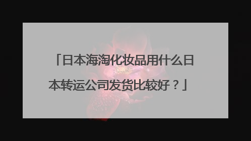 日本海淘化妆品用什么日本转运公司发货比较好?