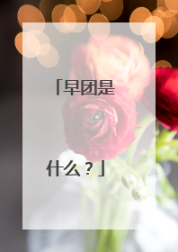 早团是什么?