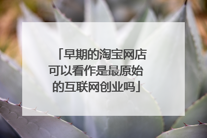 早期的淘宝网店可以看作是最原始的互联网创业吗