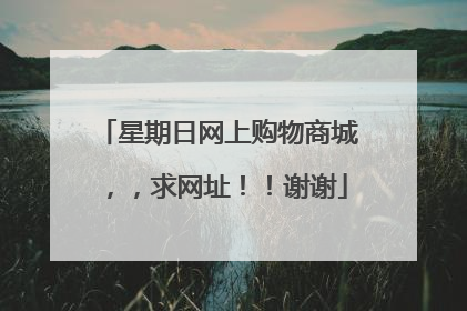 星期日网上购物商城,,求网址!!谢谢