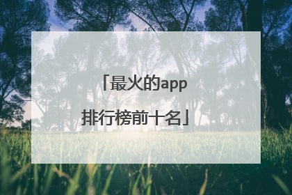 最火的app排行榜前十名