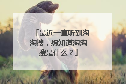 最近一直听到淘淘搜,想知道淘淘搜是什么?