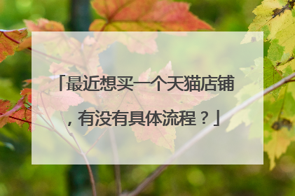 最近想买一个天猫店铺,有没有具体流程?