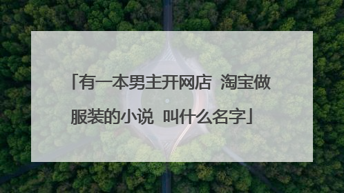 有一本男主开网店 淘宝做服装的小说 叫什么名字