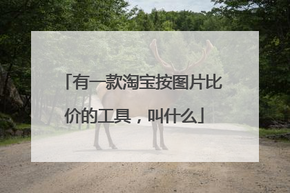 有一款淘宝按图片比价的工具,叫什么