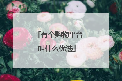 有个购物平台叫什么优选