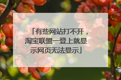 有些网站打不开，淘宝联盟一登上就显示网页无法显示