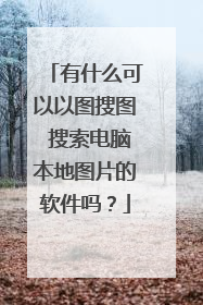 有什么可以以图搜图 搜索电脑本地图片的软件吗?
