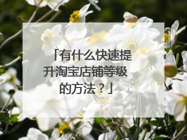 有什么快速提升淘宝店铺等级的方法?
