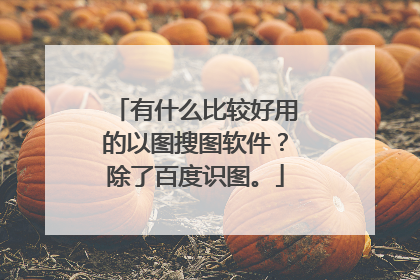 有什么比较好用的以图搜图软件？除了百度识图。