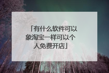 有什么软件可以象淘宝一样可以个人免费开店