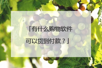 有什么购物软件可以货到付款？