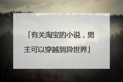 有关淘宝的小说,男主可以穿越到异世界