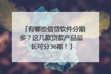有哪些借贷软件分期多?这几款贷款产品最长可分36期!