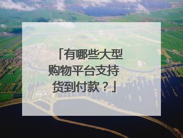有哪些大型购物平台支持货到付款?