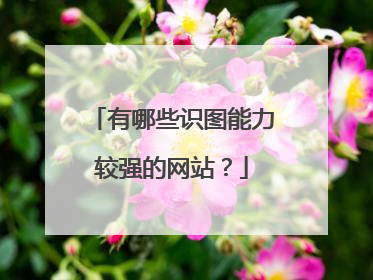 有哪些识图能力较强的网站?