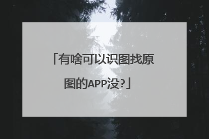 有啥可以识图找原图的APP没?