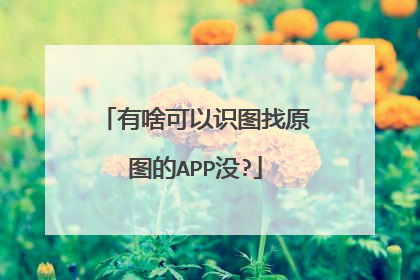有啥可以识图找原图的APP没?