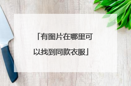 有图片在哪里可以找到同款衣服